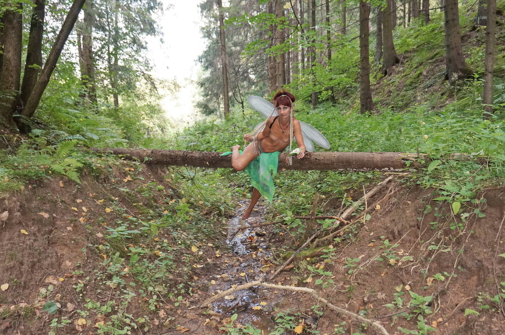 Elf on the log #107004891