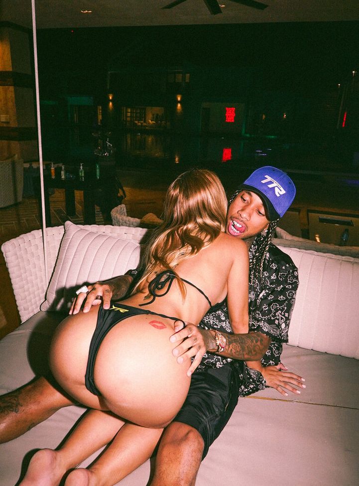 Tyga desnuda #109098813