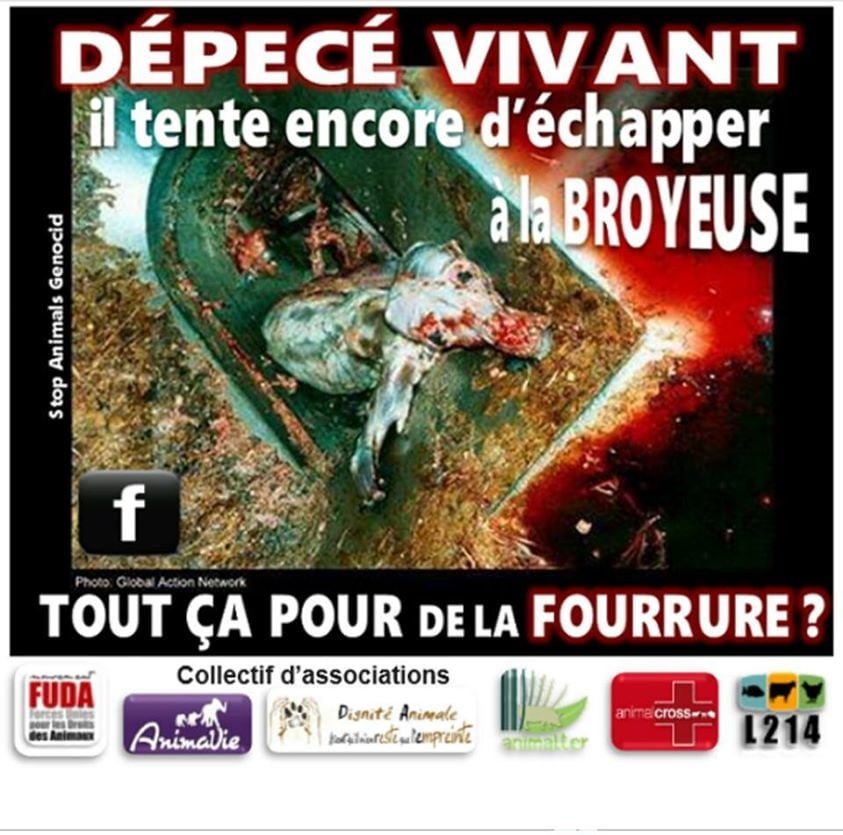 Archives 2019-2020 #93739837