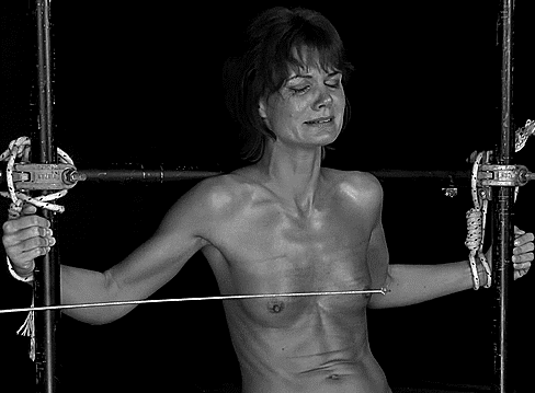 Lacrymosa gifs
 #90089445