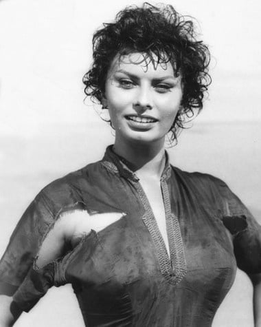 クラシック・ビューティー : ソフィア・ローレン（Sofia Loren
 #92929052