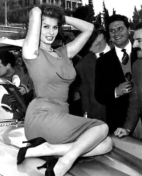Classic Beauty : Sofia Loren #92929066
