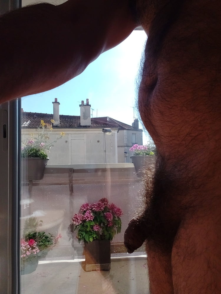 Devant la fenetre #89830506