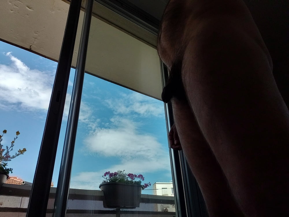 Devant la fenetre #89830511