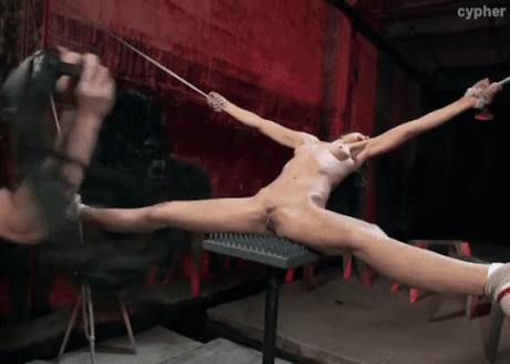 El jardín de juegos de su coño
 #87953877