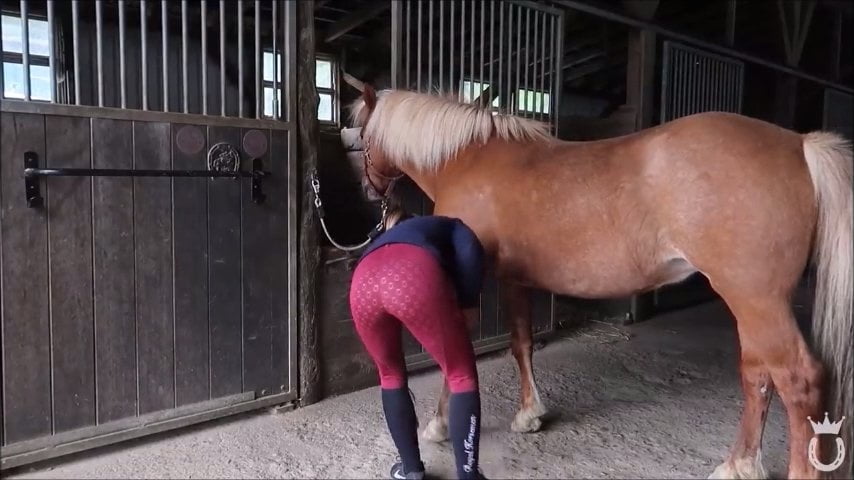 Mädchen in Jodhpurs 5
 #94372506