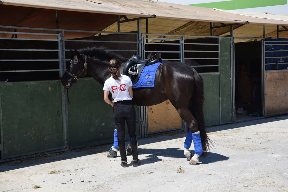 Mädchen in Jodhpurs 5
 #94372554