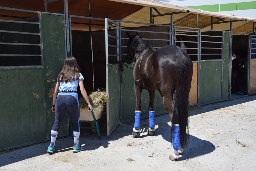 Mädchen in Jodhpurs 5
 #94372562