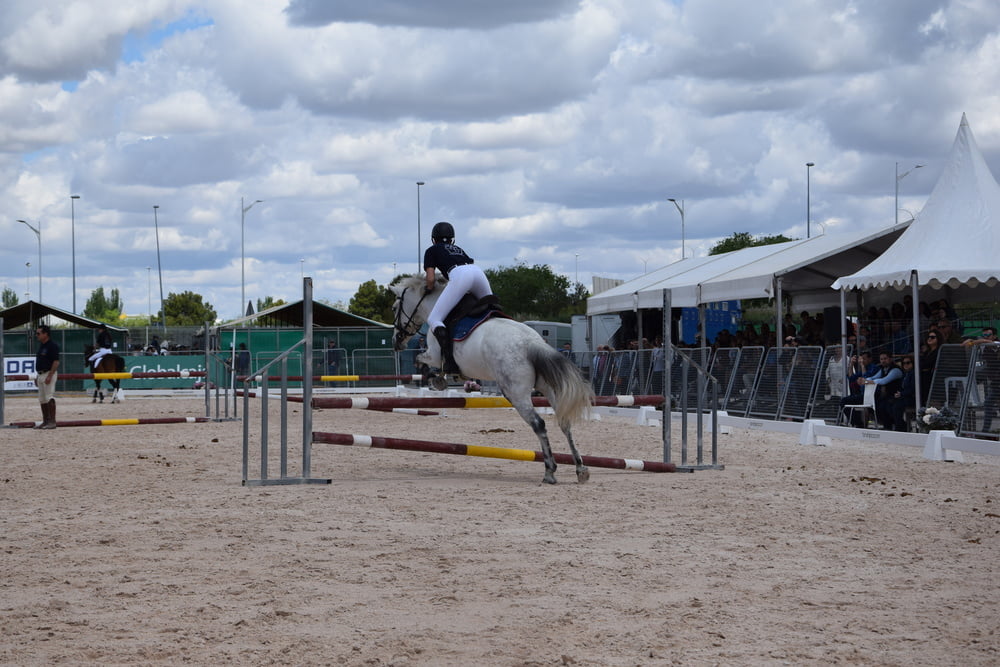 Mädchen in Jodhpurs 5
 #94372565