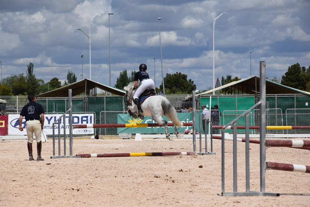 Mädchen in Jodhpurs 5
 #94372568