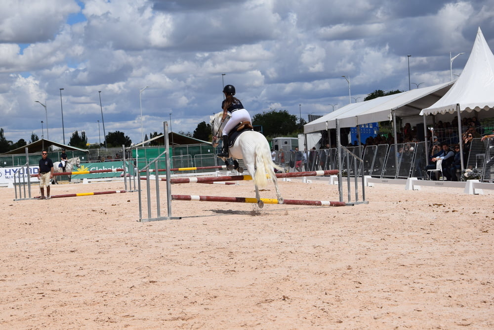 Mädchen in Jodhpurs 5
 #94372571
