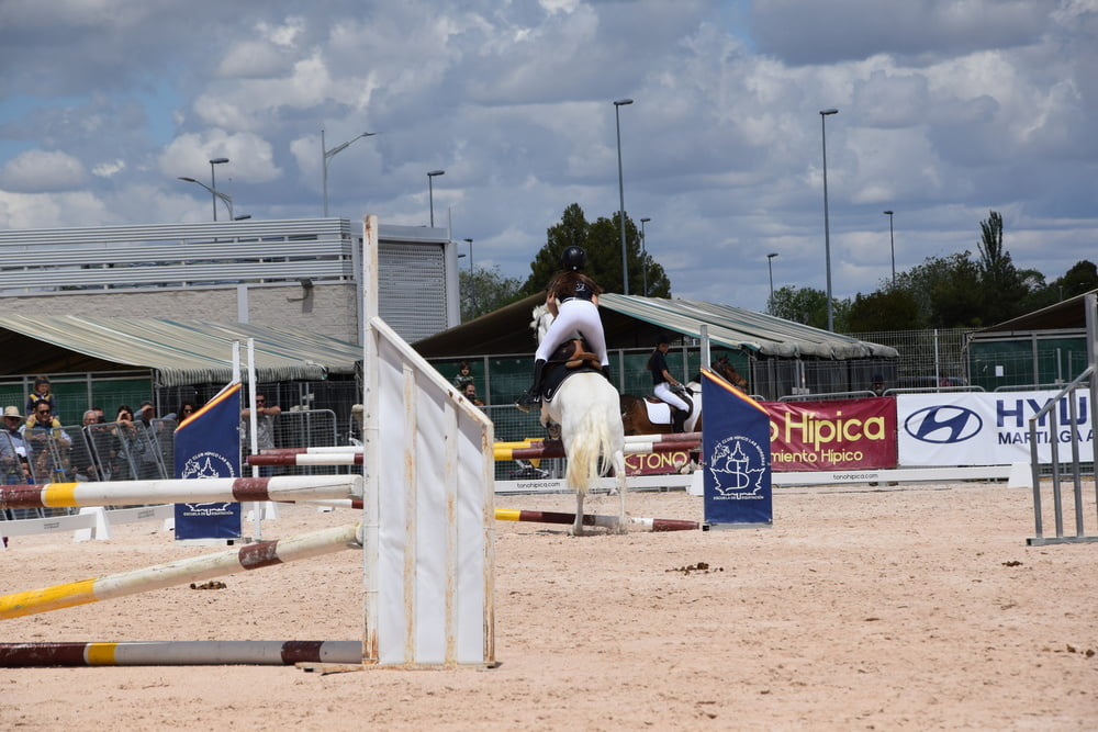 Mädchen in Jodhpurs 5
 #94372574