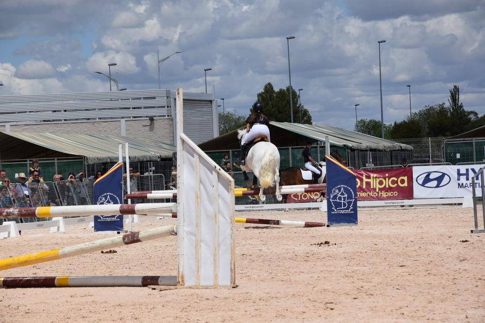 Mädchen in Jodhpurs 5
 #94372577