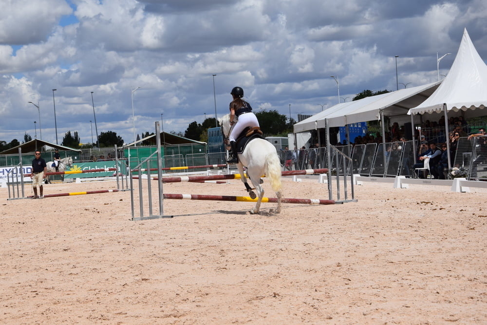 Mädchen in Jodhpurs 5
 #94372580