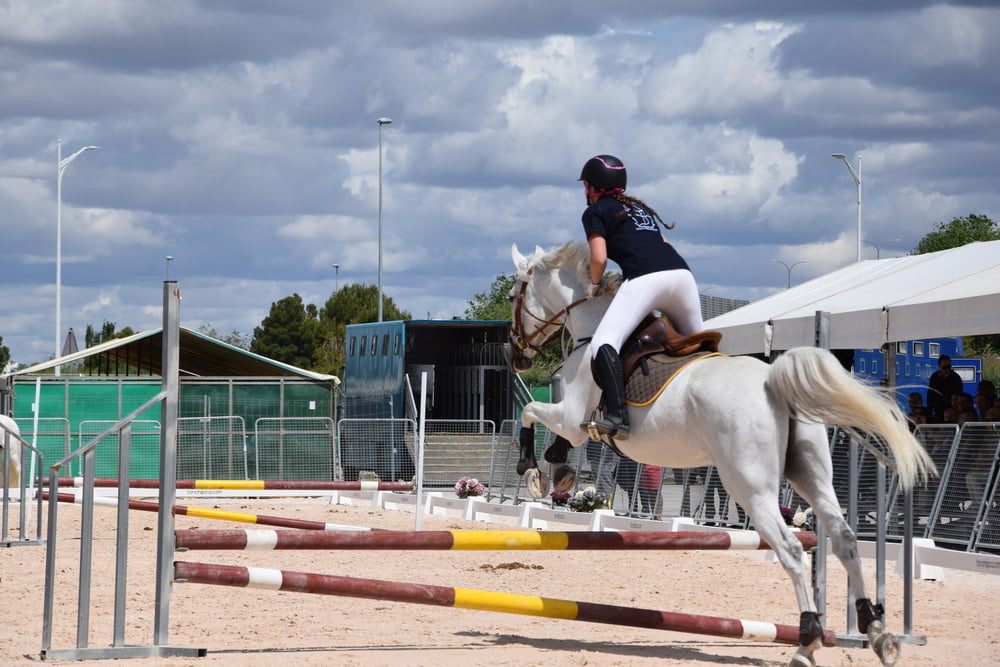Mädchen in Jodhpurs 5
 #94372584