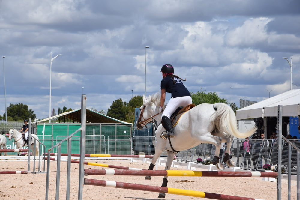 Mädchen in Jodhpurs 5
 #94372587