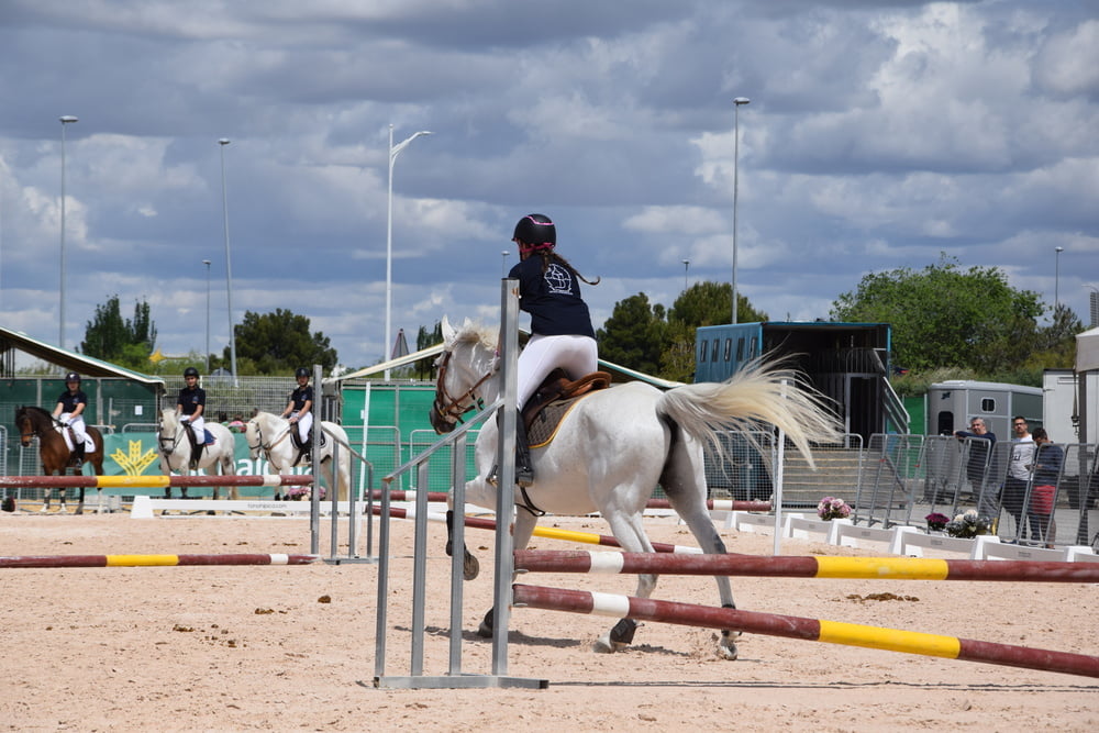 Mädchen in Jodhpurs 5
 #94372590