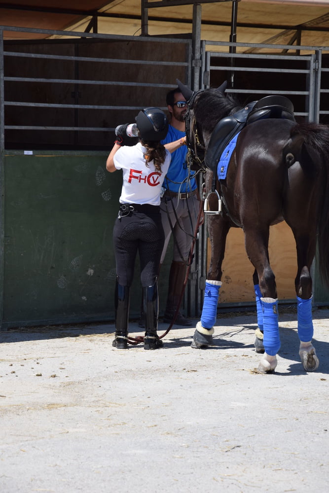 Mädchen in Jodhpurs 5
 #94372592