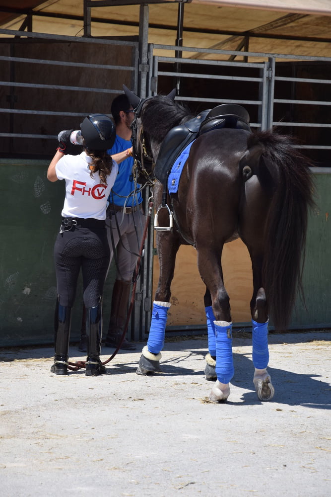 Mädchen in Jodhpurs 5
 #94372595