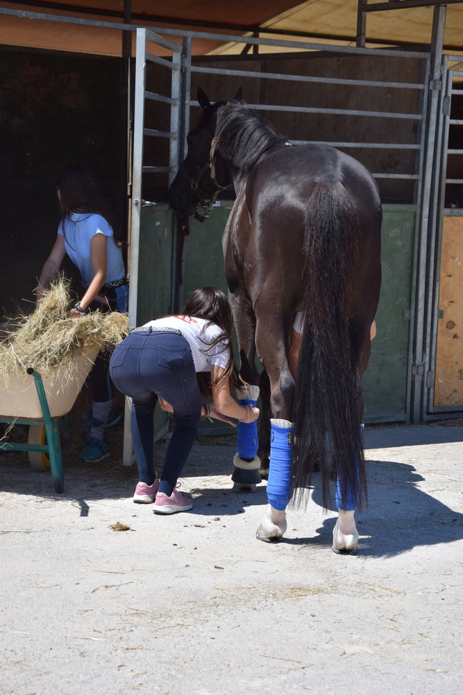 Mädchen in Jodhpurs 5
 #94372599
