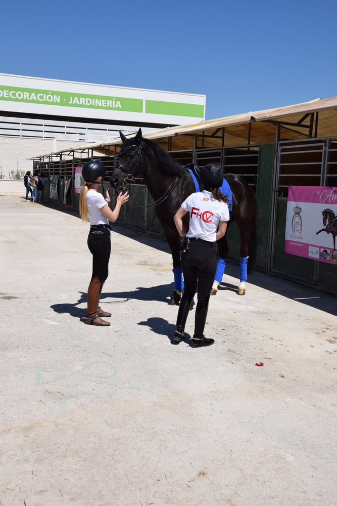 Mädchen in Jodhpurs 5
 #94372616
