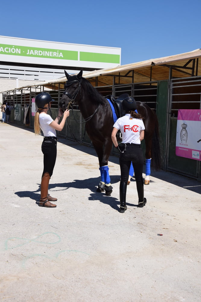 Mädchen in Jodhpurs 5
 #94372619