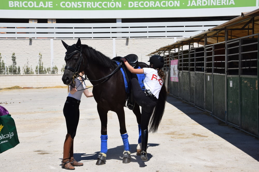 Mädchen in Jodhpurs 5
 #94372622