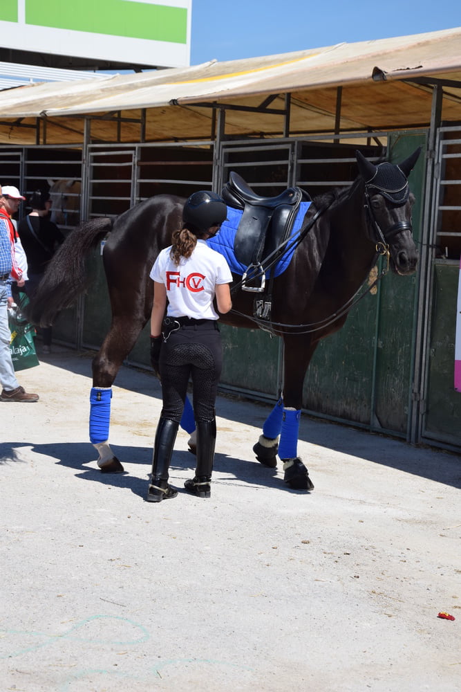 Mädchen in Jodhpurs 5
 #94372626
