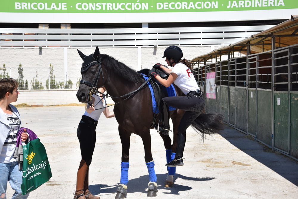 Mädchen in Jodhpurs 5
 #94372629