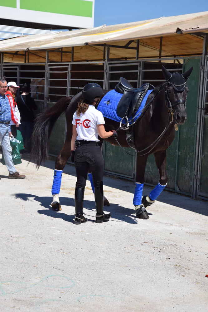 Mädchen in Jodhpurs 5
 #94372632