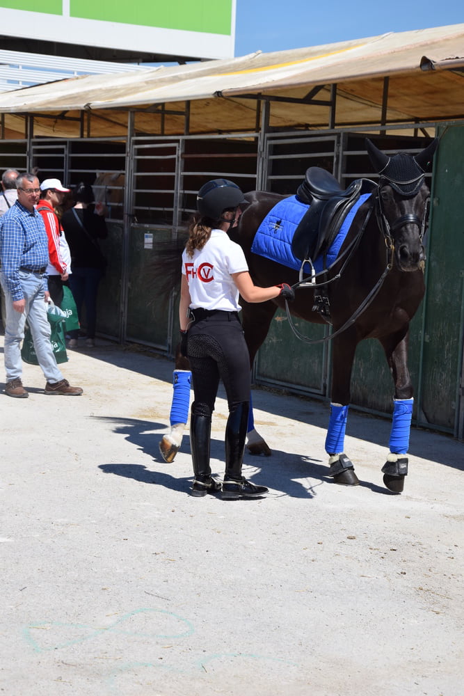 Mädchen in Jodhpurs 5
 #94372635