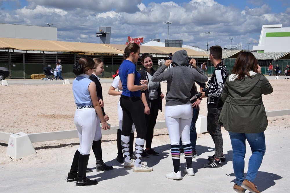 Mädchen in Jodhpurs 5
 #94372641