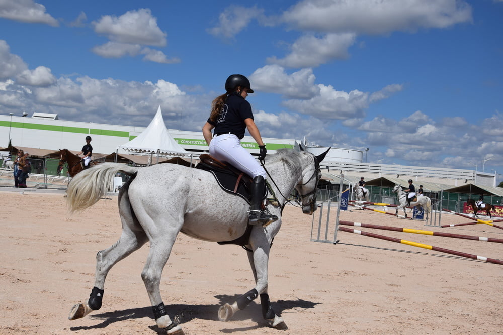 Mädchen in Jodhpurs 5
 #94372650