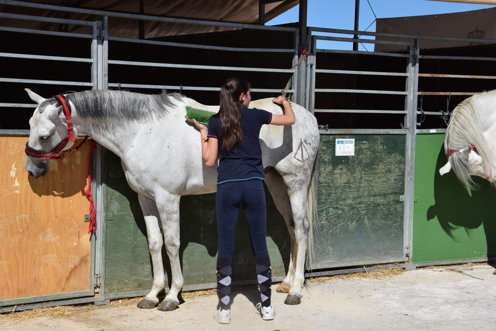 Mädchen in Jodhpurs 5
 #94372653
