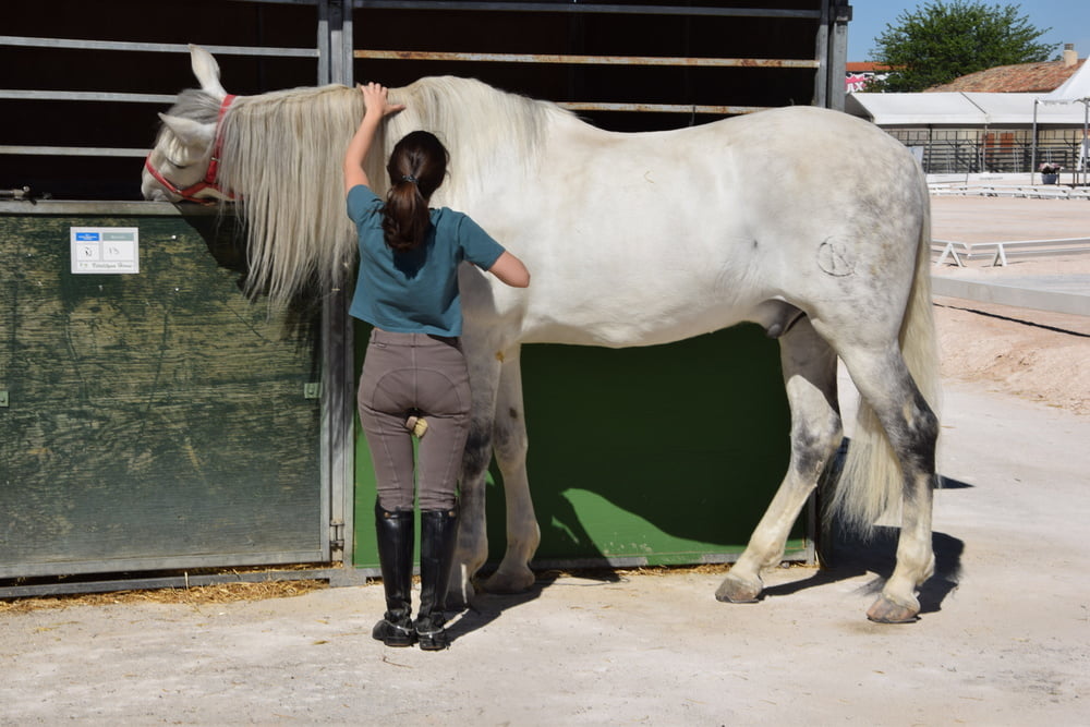 Mädchen in Jodhpurs 5
 #94372655