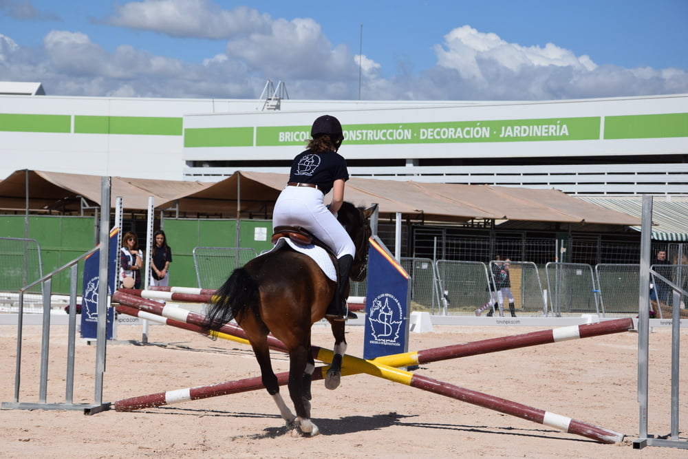 Mädchen in Jodhpurs 5
 #94372671