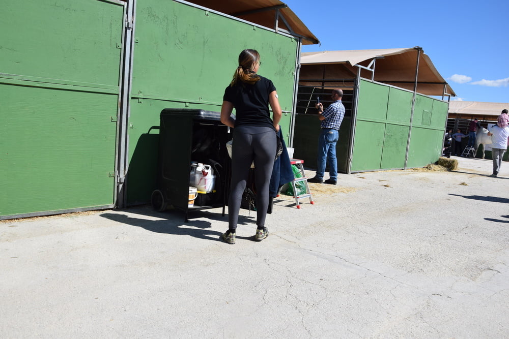 Mädchen in Jodhpurs 5
 #94372677