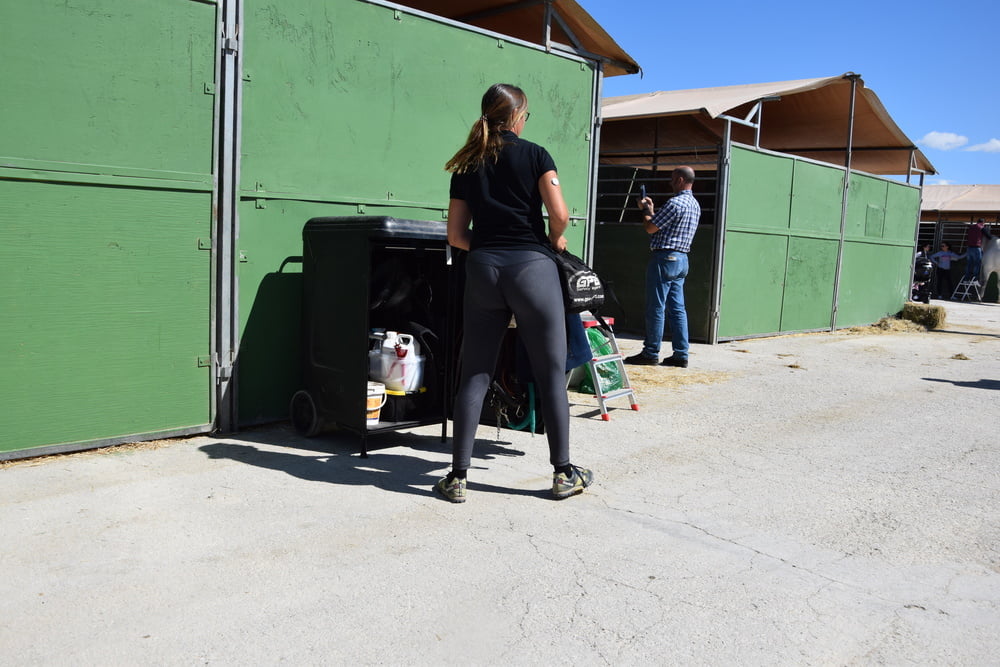 Mädchen in Jodhpurs 5
 #94372680