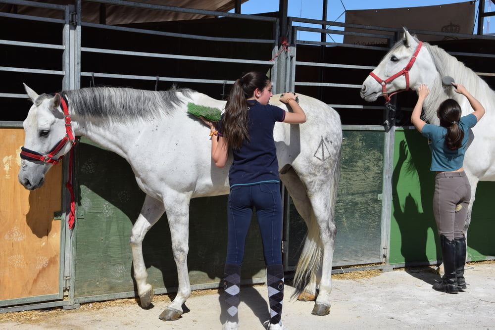 Mädchen in Jodhpurs 5
 #94372697