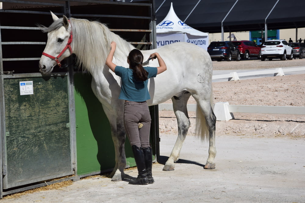 Mädchen in Jodhpurs 5
 #94372700