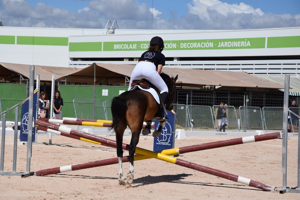 Mädchen in Jodhpurs 5
 #94372706