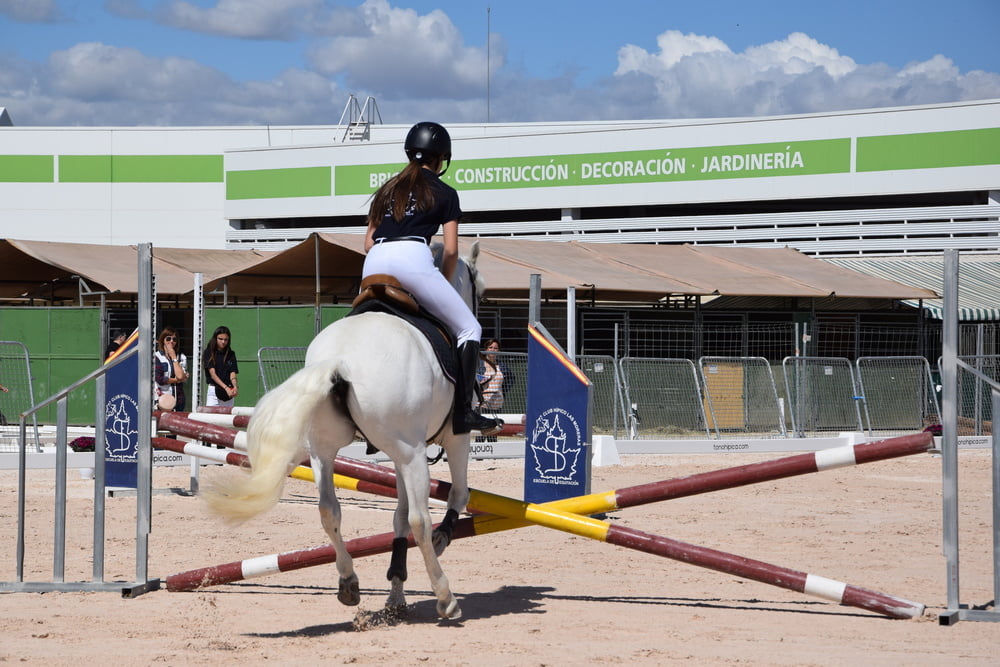 Mädchen in Jodhpurs 5
 #94372715