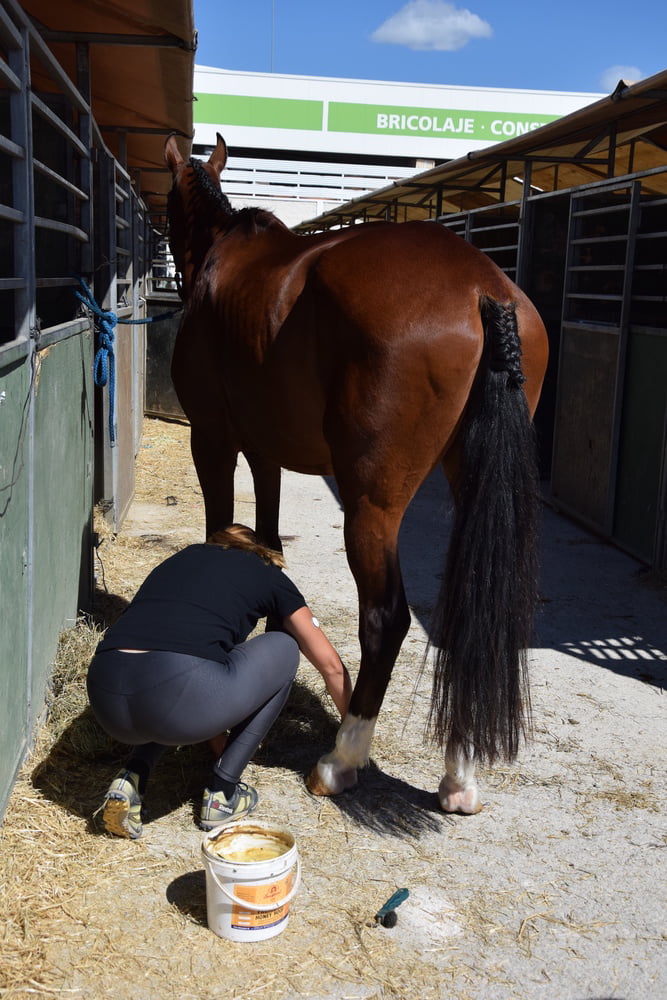 Mädchen in Jodhpurs 5
 #94372727