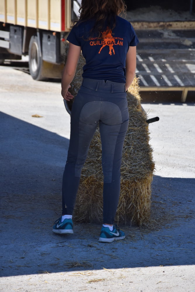 Mädchen in Jodhpurs 5
 #94372757