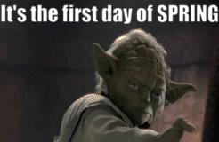 GIFS TROVATI IN RETE #102418744