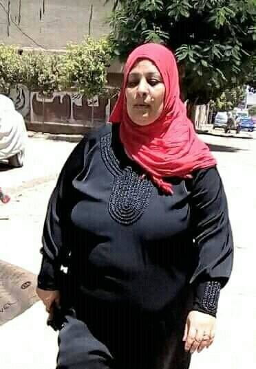 Adultos Egipto 20
 #106337613