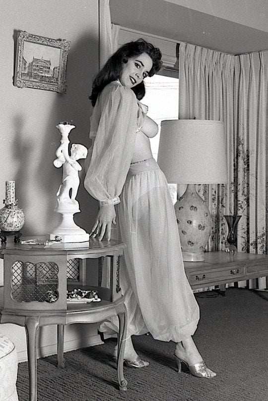 マリアンヌ・アラ、1960年代のモデル
 #105526436