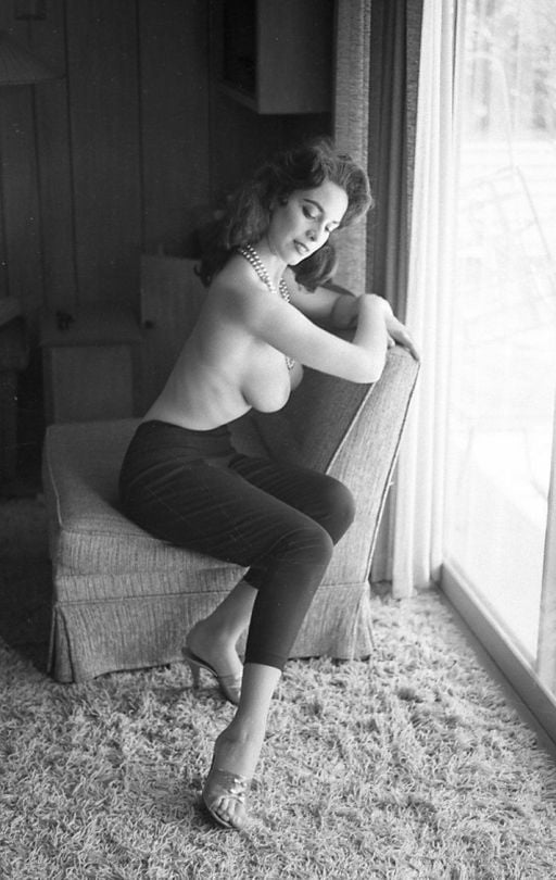 マリアンヌ・アラ、1960年代のモデル
 #105526440
