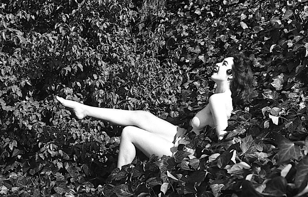 マリアンヌ・アラ、1960年代のモデル
 #105526488