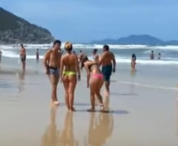 Florianopolis Praia Brava #80716032